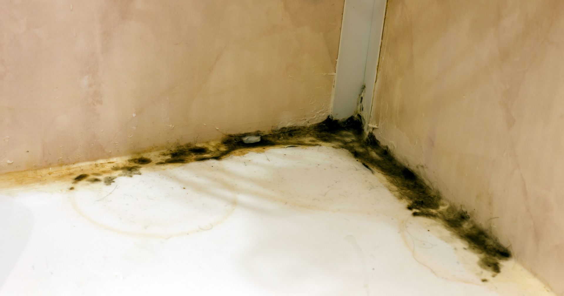 A corner of a bathroom with mold growing on the wall and floor.