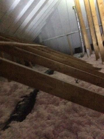 An attic with a lot of wooden beams and insulation.