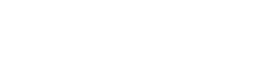 Website Designed by Now Ahead Digital Marketing Logo