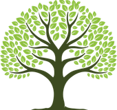 a tree with green leaves and branches on a white background .