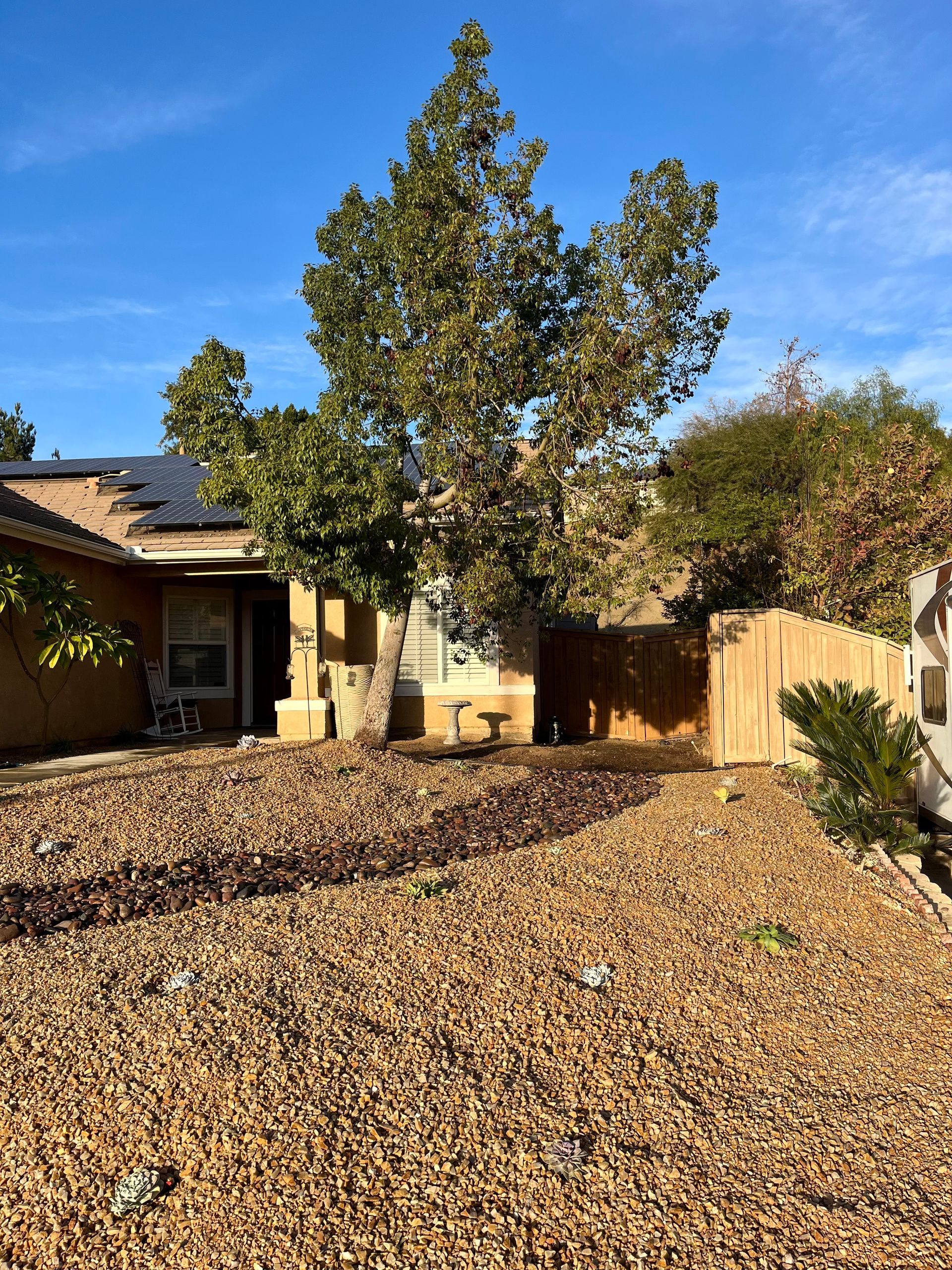 Tree Removal, Weed and Vegetation Clearing, Gravel Rock Installation, and Drought-Tolerant Plant/Succulent River Design in Lake Elsinore, CA