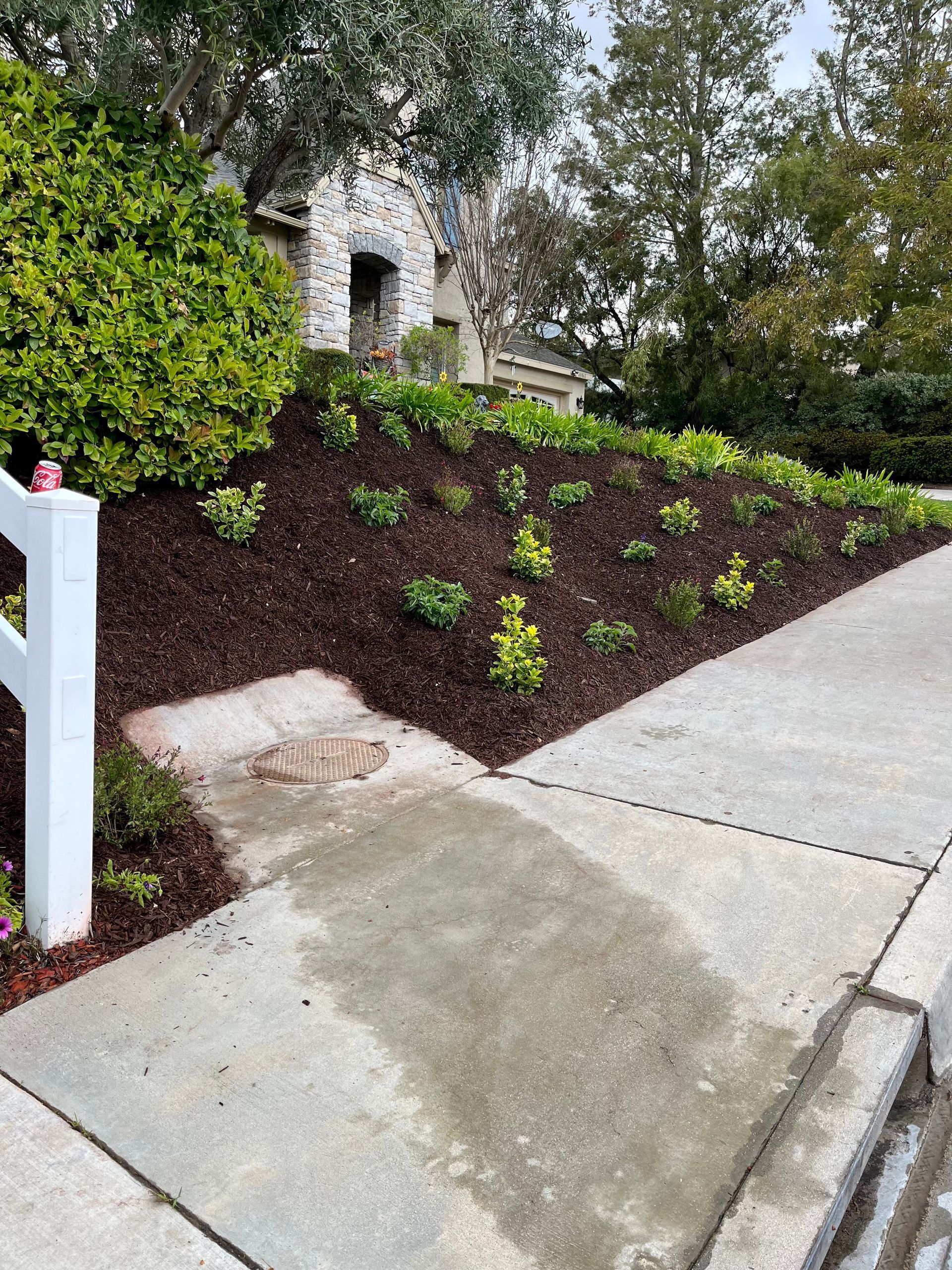 Replace Old Dead Plants and Mulch with a Mix of Flowers, Bushes, and Fresh Mulch in Temecula, CA