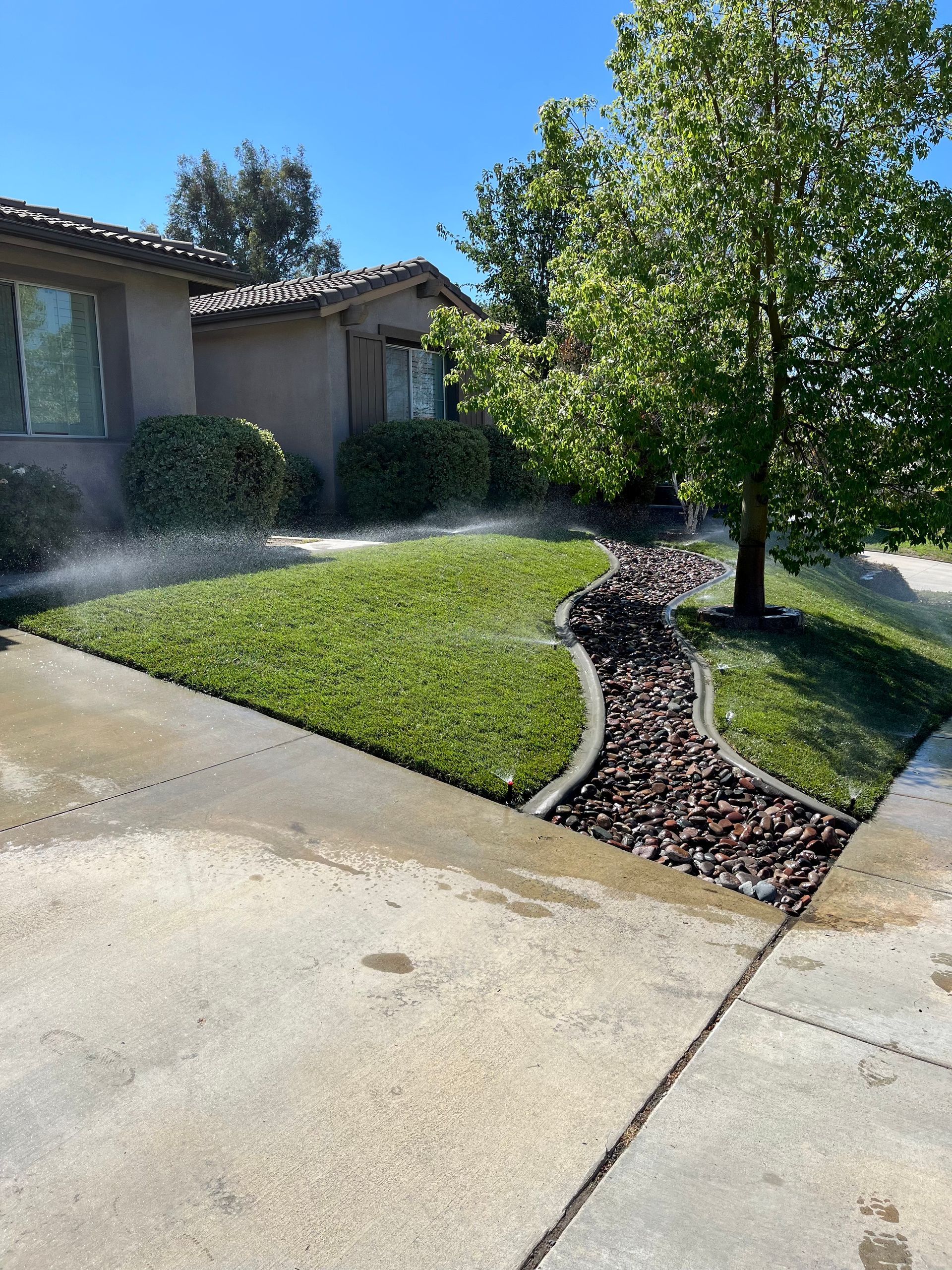 front yard after image of new grass installation