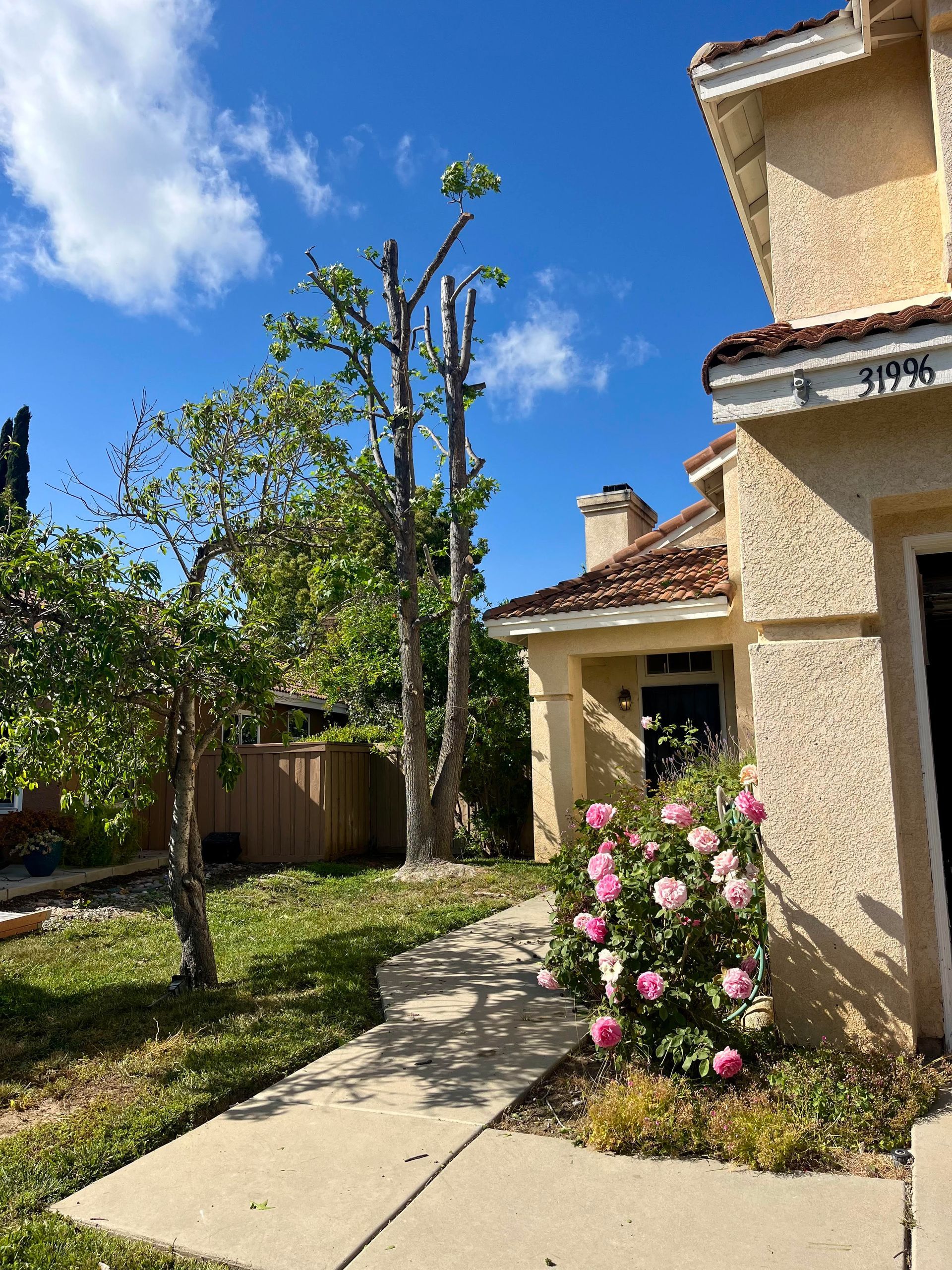 A house with a trimmed tree and flowers in front of it.