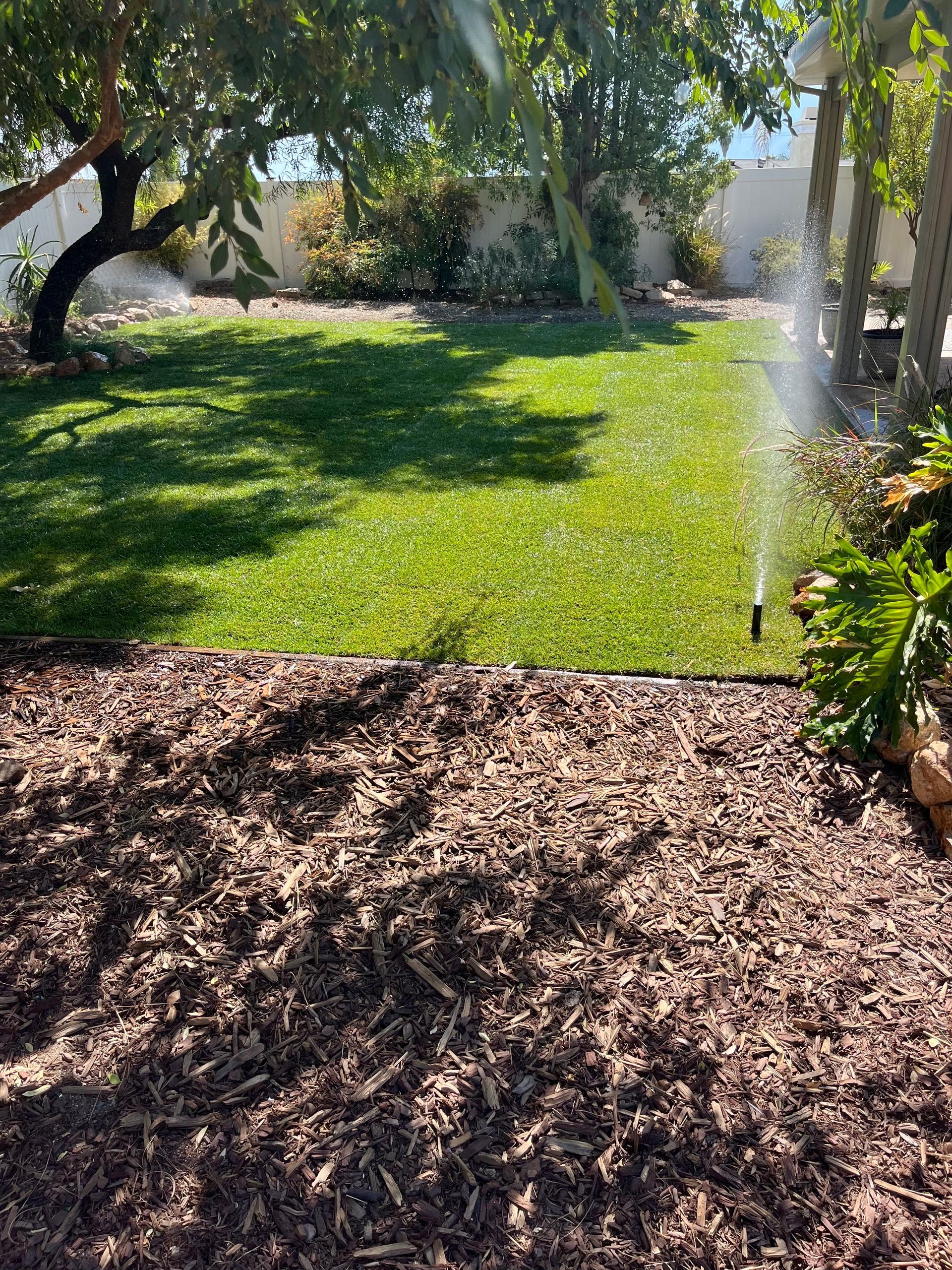 Weed Removal & Tall Fescue Grass Installation with Irrigation in Lake Elsinore, CA