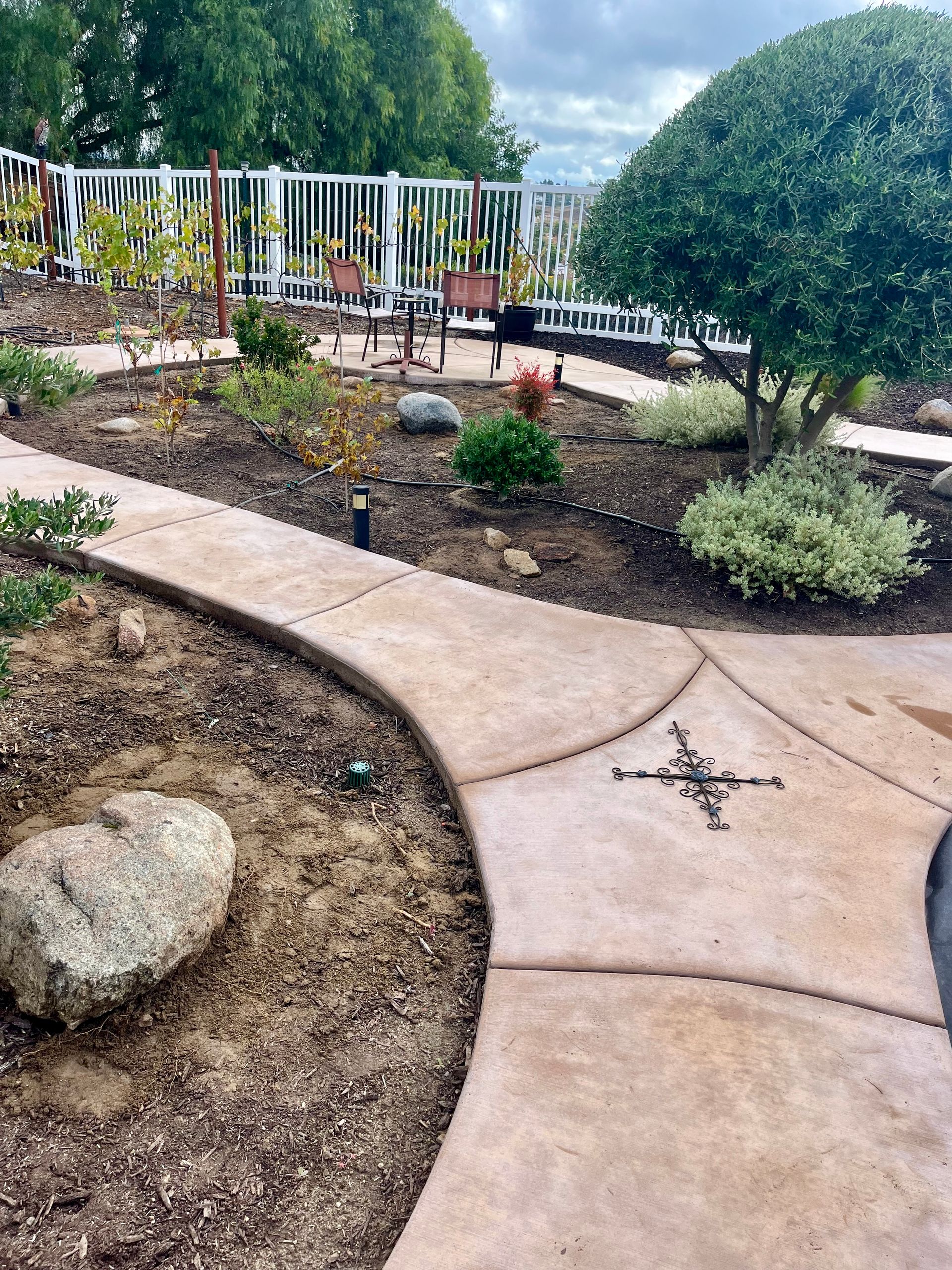 a concrete walkway surrounded by trees and rocks in a garden .