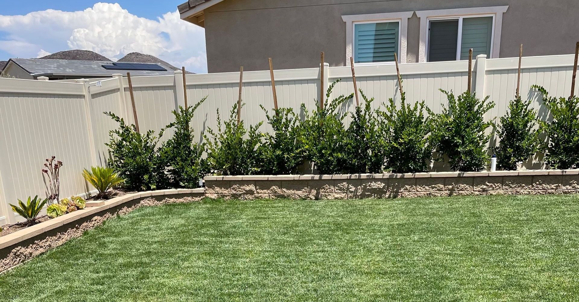 backyard freshly lawn mowed