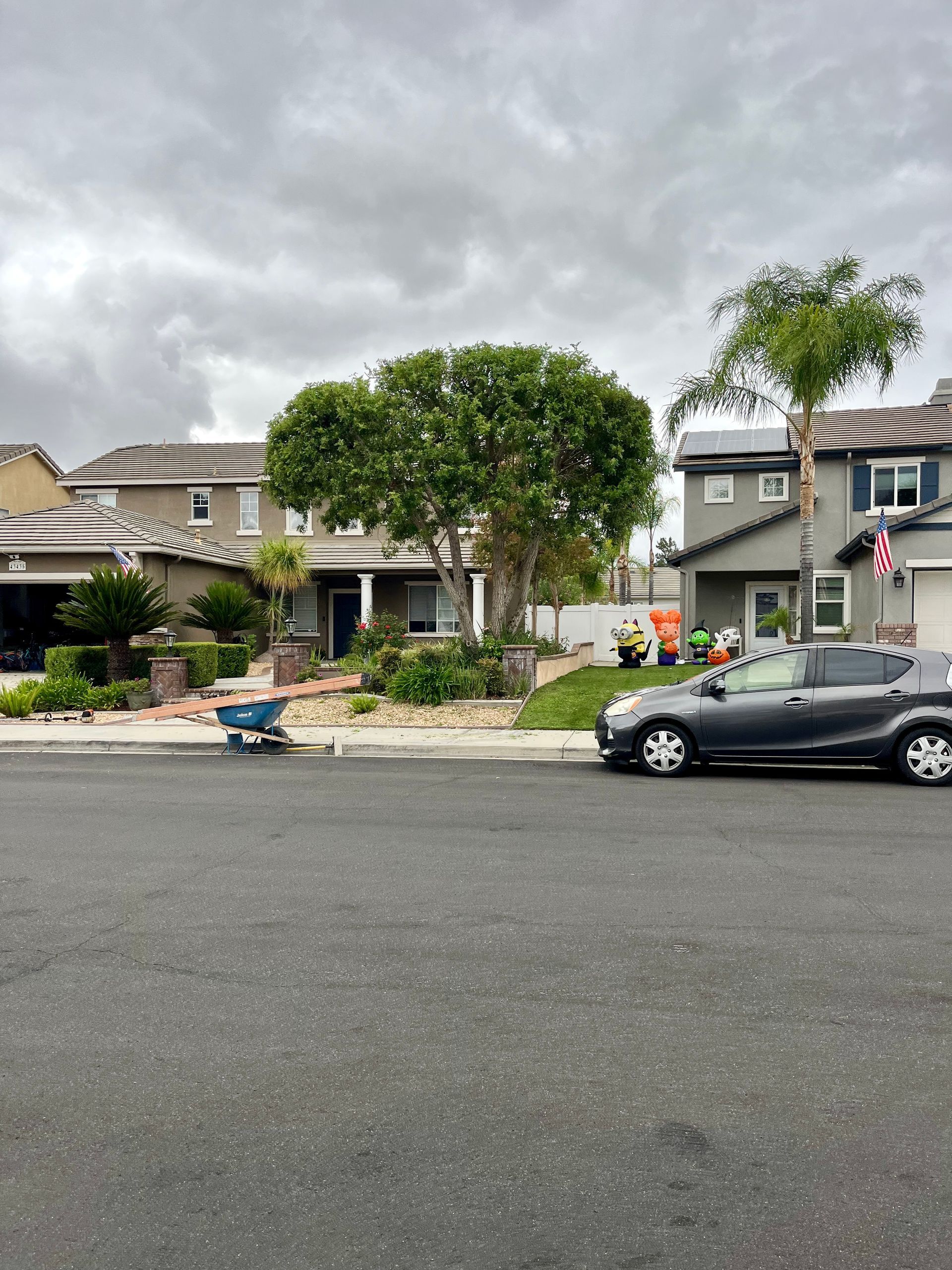 Residential Tree Shaping & Pruning in Temecula, CA