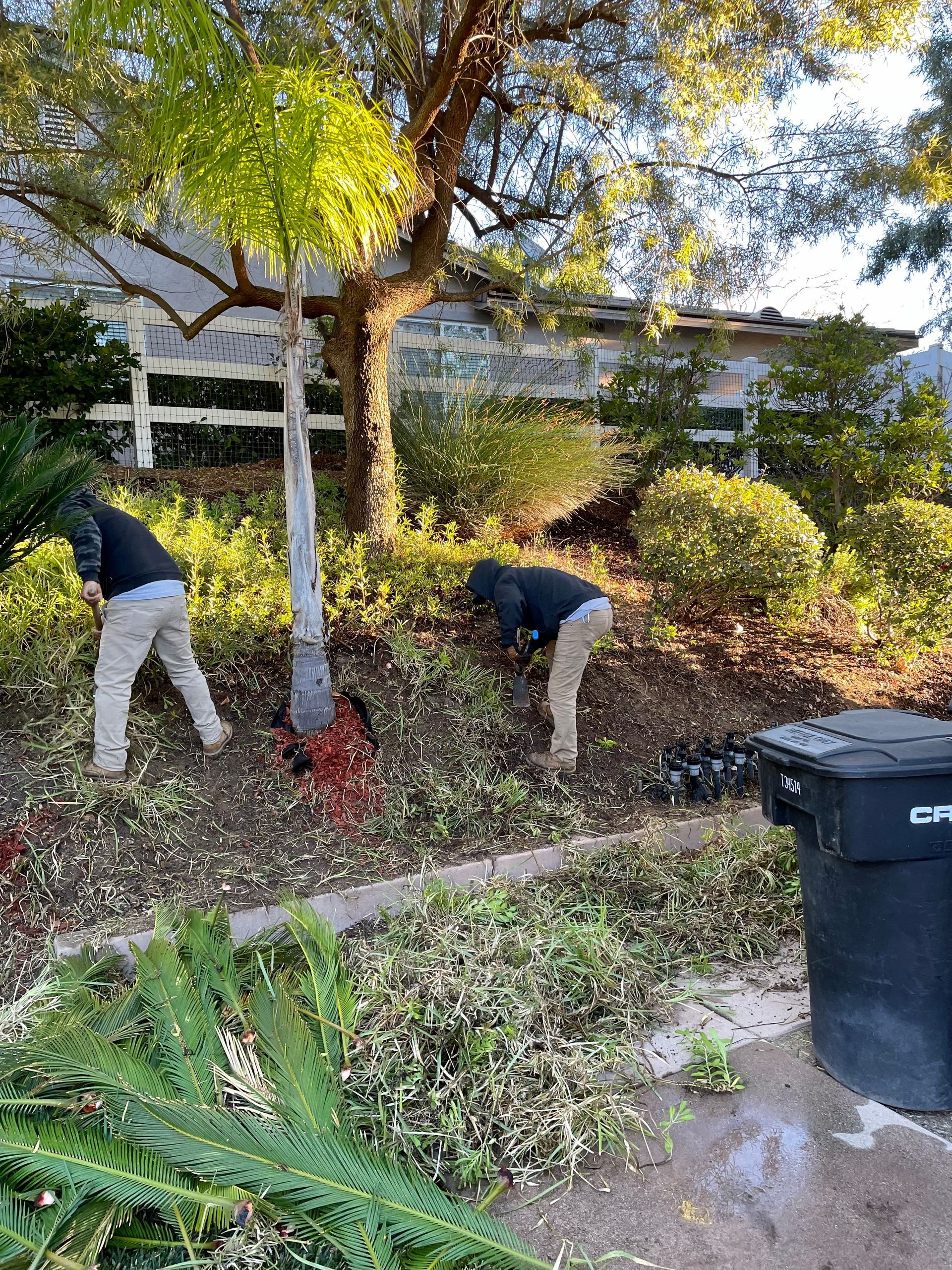 green sod installation backyard