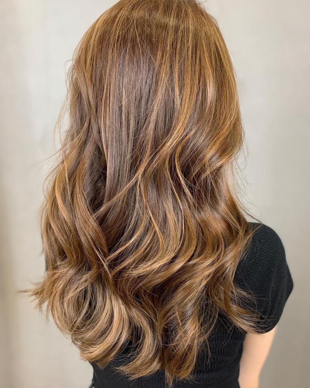 This is a photo of a Chestnut Brown hair color