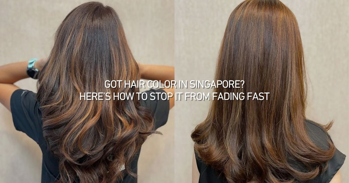 Images of brown hair colors