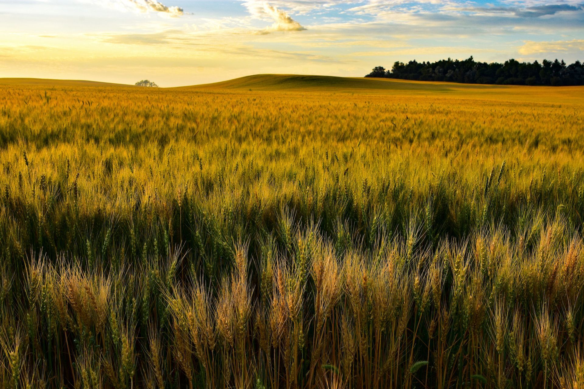 The sun is setting over the ocean and the waves are crashing on the beach.