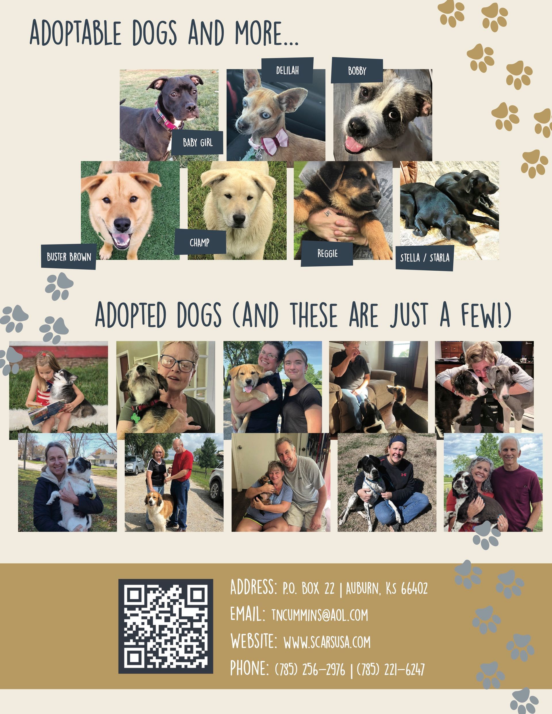 Poster: Dogs for adoption, photos of adoptable dogs, and photos of adopted dogs with their new owners.