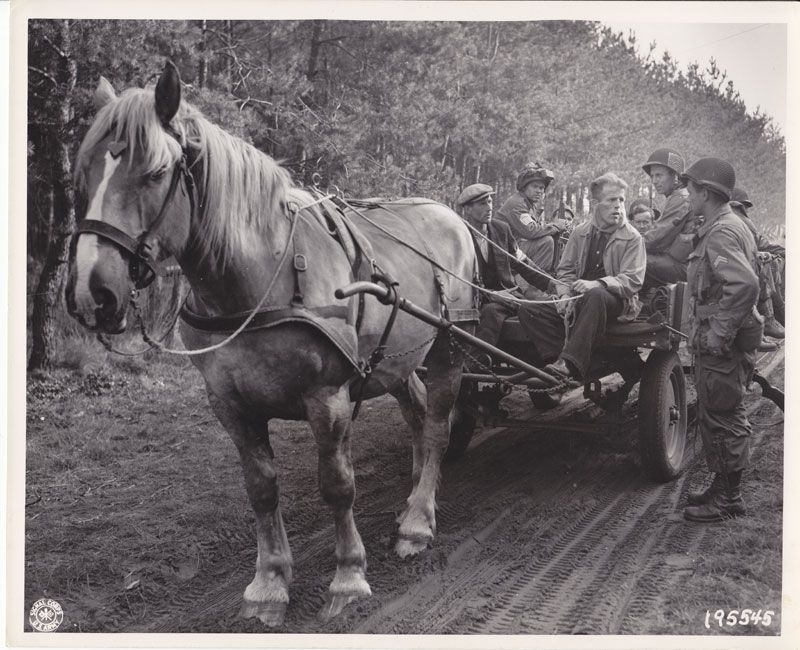 Corporal J. W. Bothe gives advice to a Dutch farmer giving Yanks a lift to the front lines. Zon, Holland