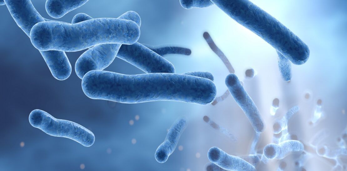 How Do You Test for Legionella in Water?