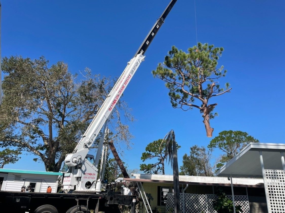 A tree is being cut down by a machine with a crane attached to it.