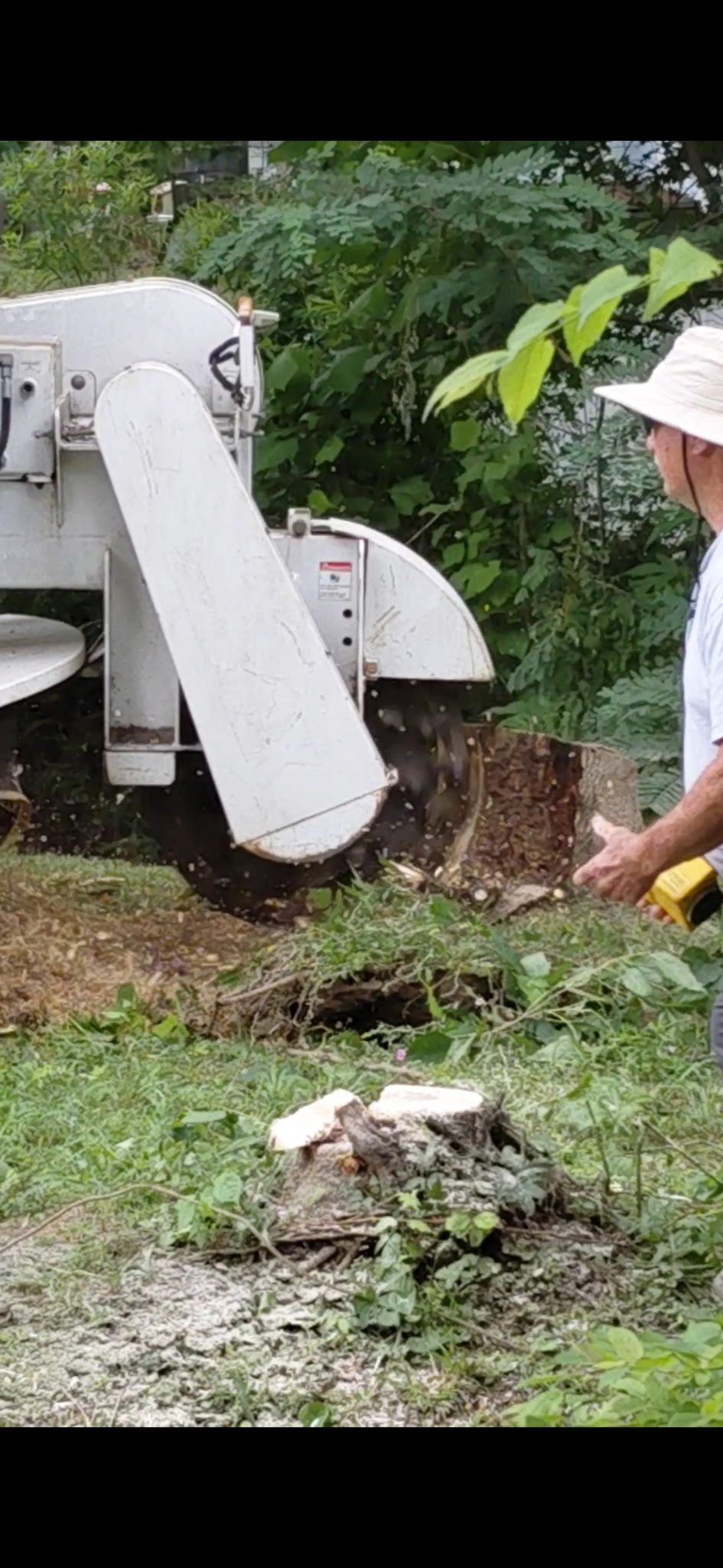 A machine is stump grinding a tree stump in a yard.