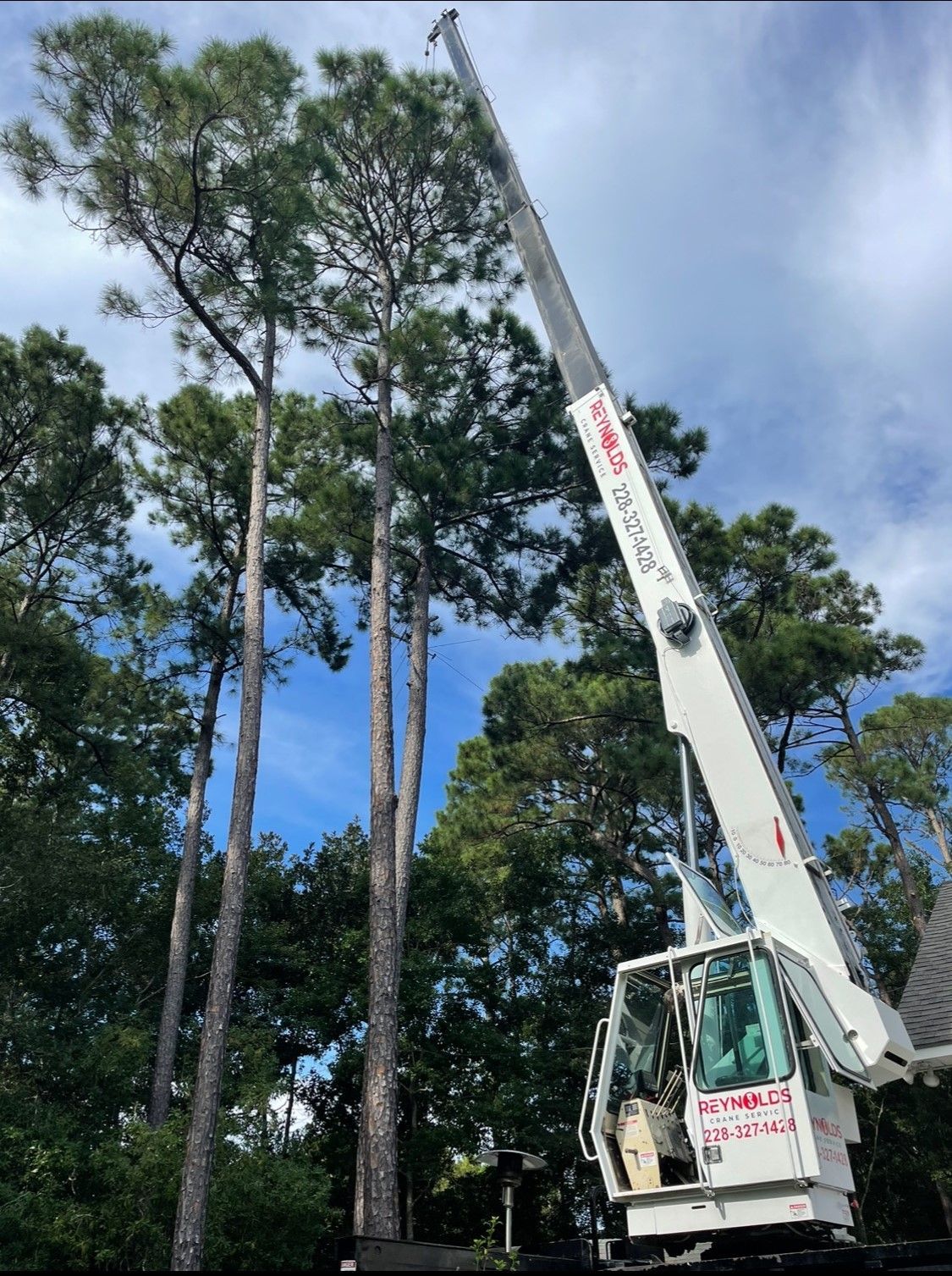 A man is sitting on a tree branch cutting a tree branch.