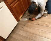 Pest Control Services Southern New Mexico Dewitt Pest Control