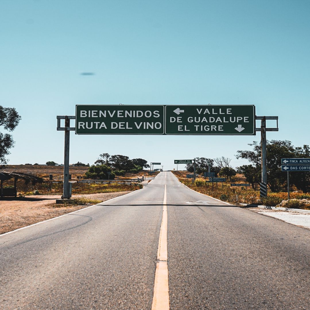 Un camino con un cartel que dice bienvenido ruta del vino