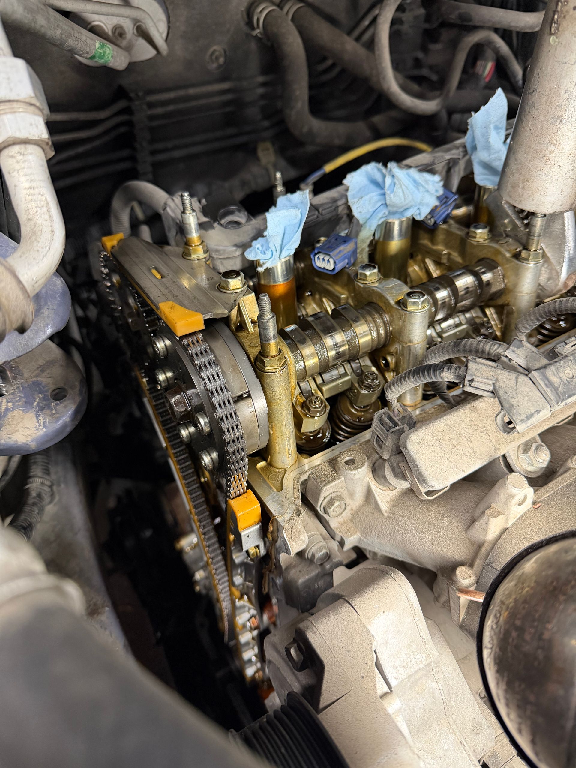 Car engine with timing chain exposed, showing gears, camshafts, and valves | Economy Auto Repair