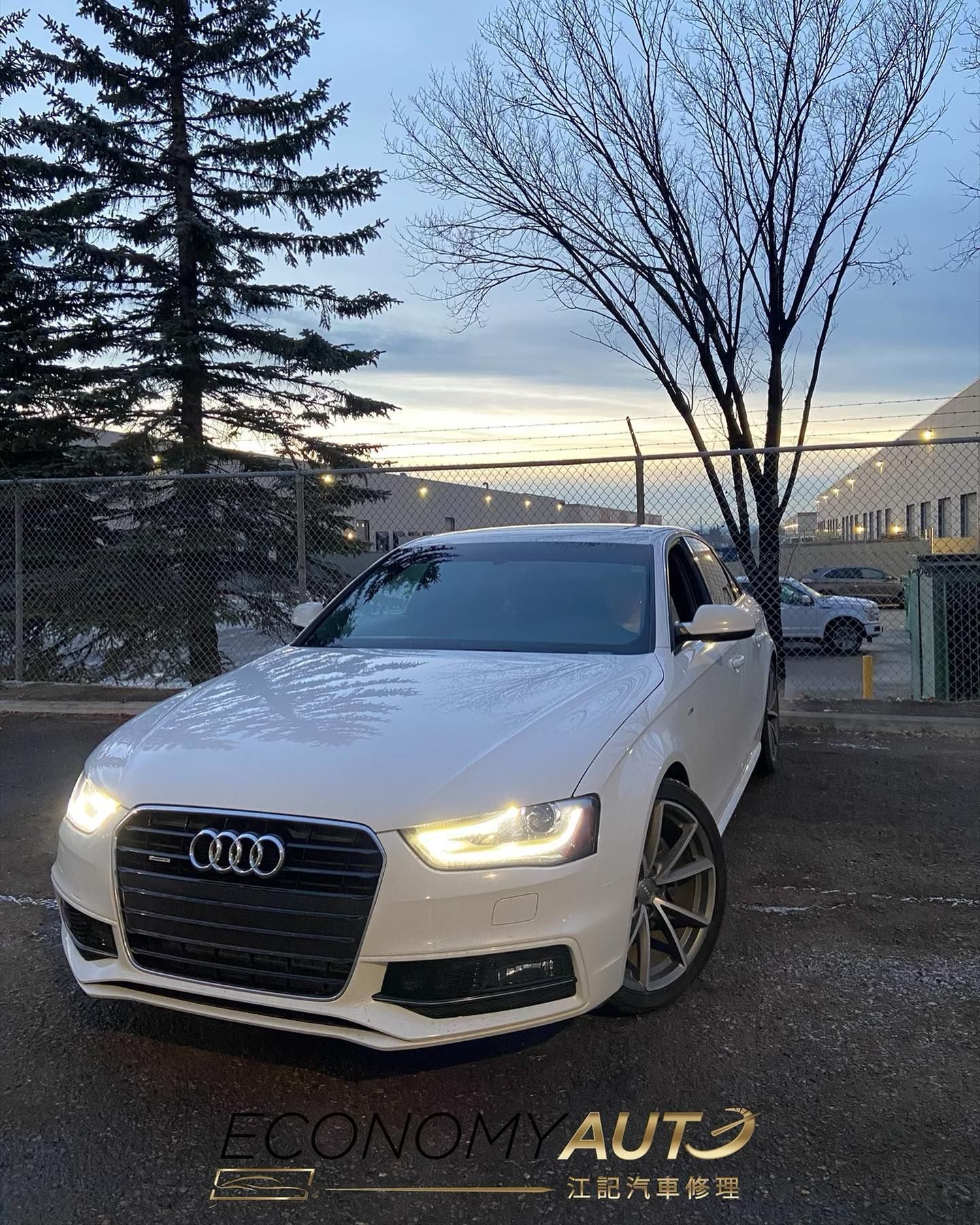 White Audi Sedan Parked Outdoors Near Trees | Economy Auto Repair