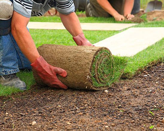 A man is rolling a roll of grass on the ground.