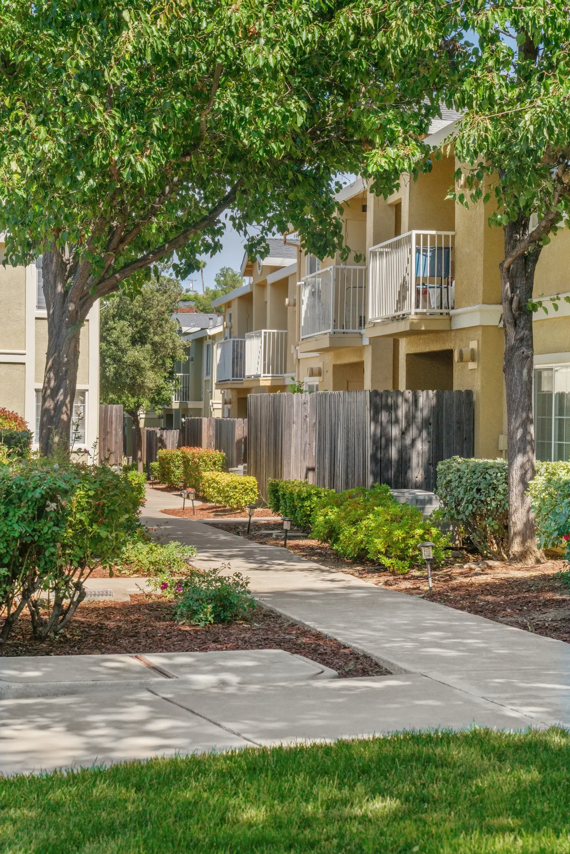 Exterior path lined with trees and shrubs between beige apartment buildings with balconies.