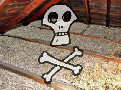 19 Insulation Facts Every Homeowner Must Know