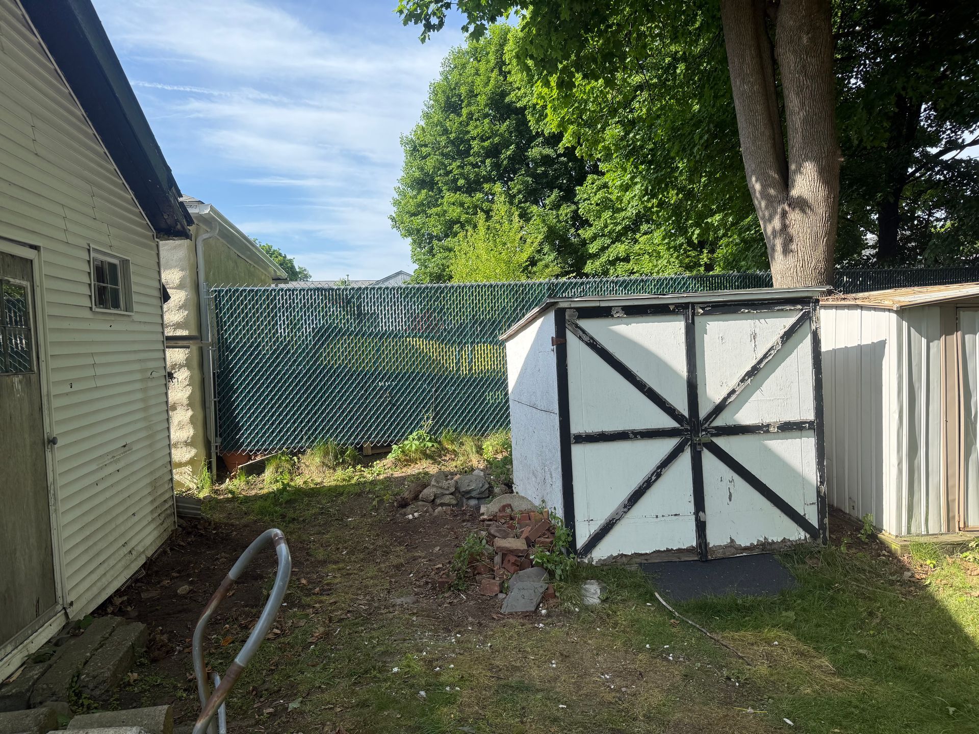 Backyard with white shed, chain-link fence, and green trees on a sunny day