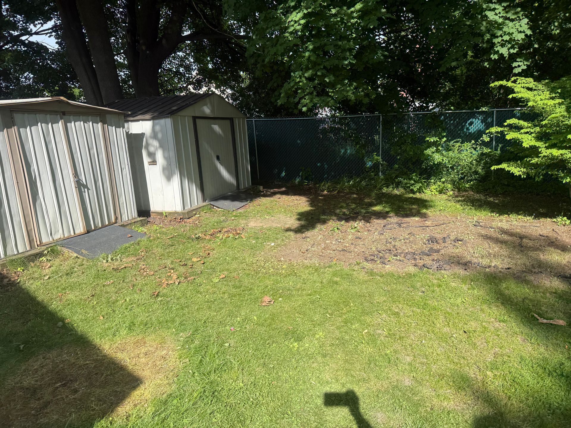 Backyard with patchy grass, a white shed, wooden fence, and trees in bright sunlight