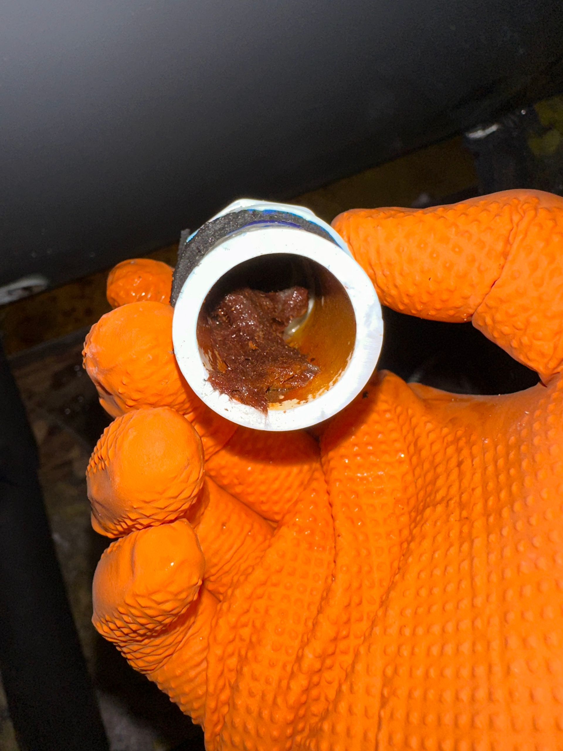 Hand in orange glove holding a white pipe with rusty brown debris inside.