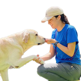 A woman is kneeling down and petting a dog.