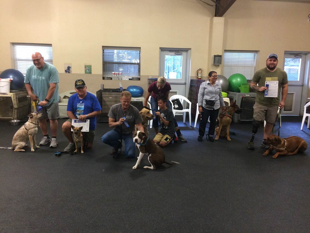 A group of people posing with their dogs in a room