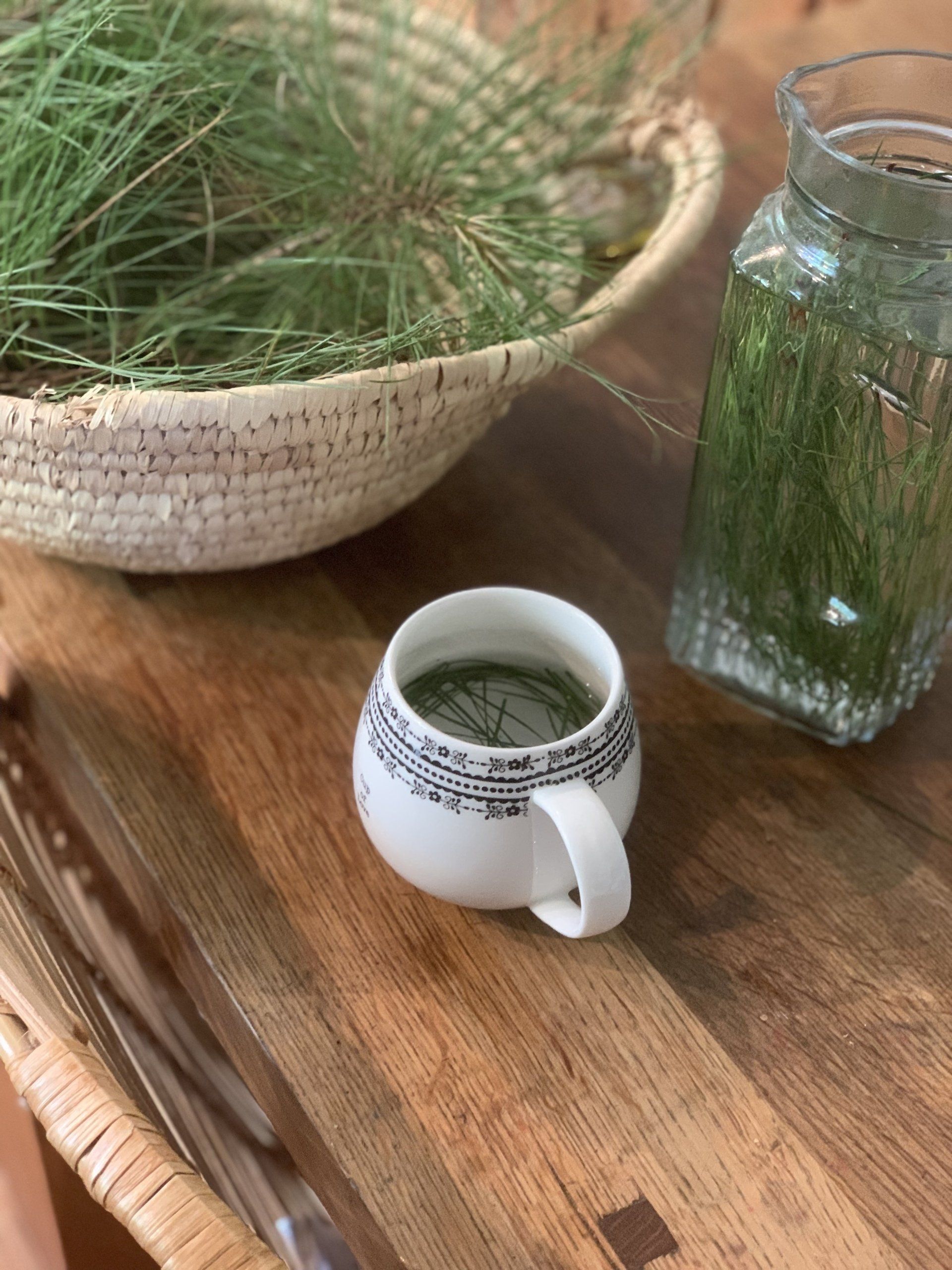 How to Make Pine Needle Tea Recipe by Stephanie Webb