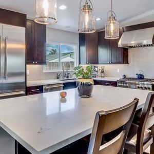 A kitchen with stainless steel appliances and a large island with a plant on it.