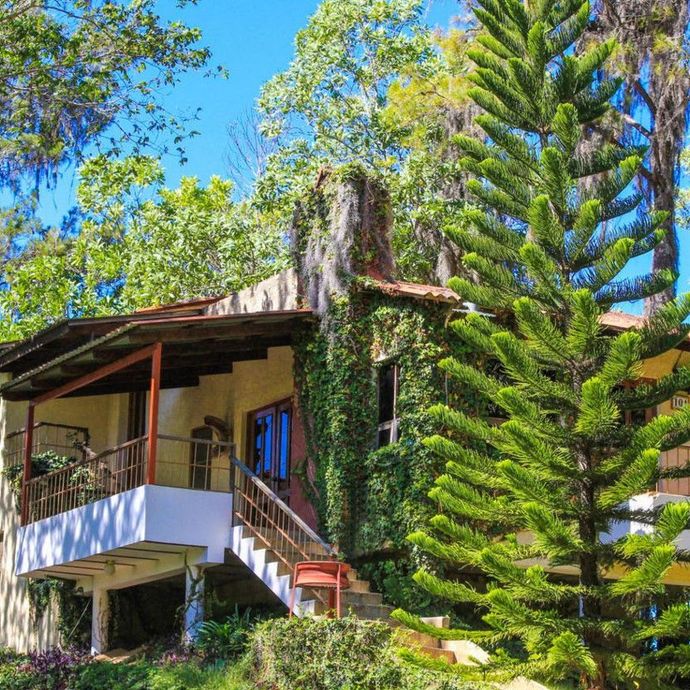 Una casa con escaleras que conducen a ella está rodeada de árboles