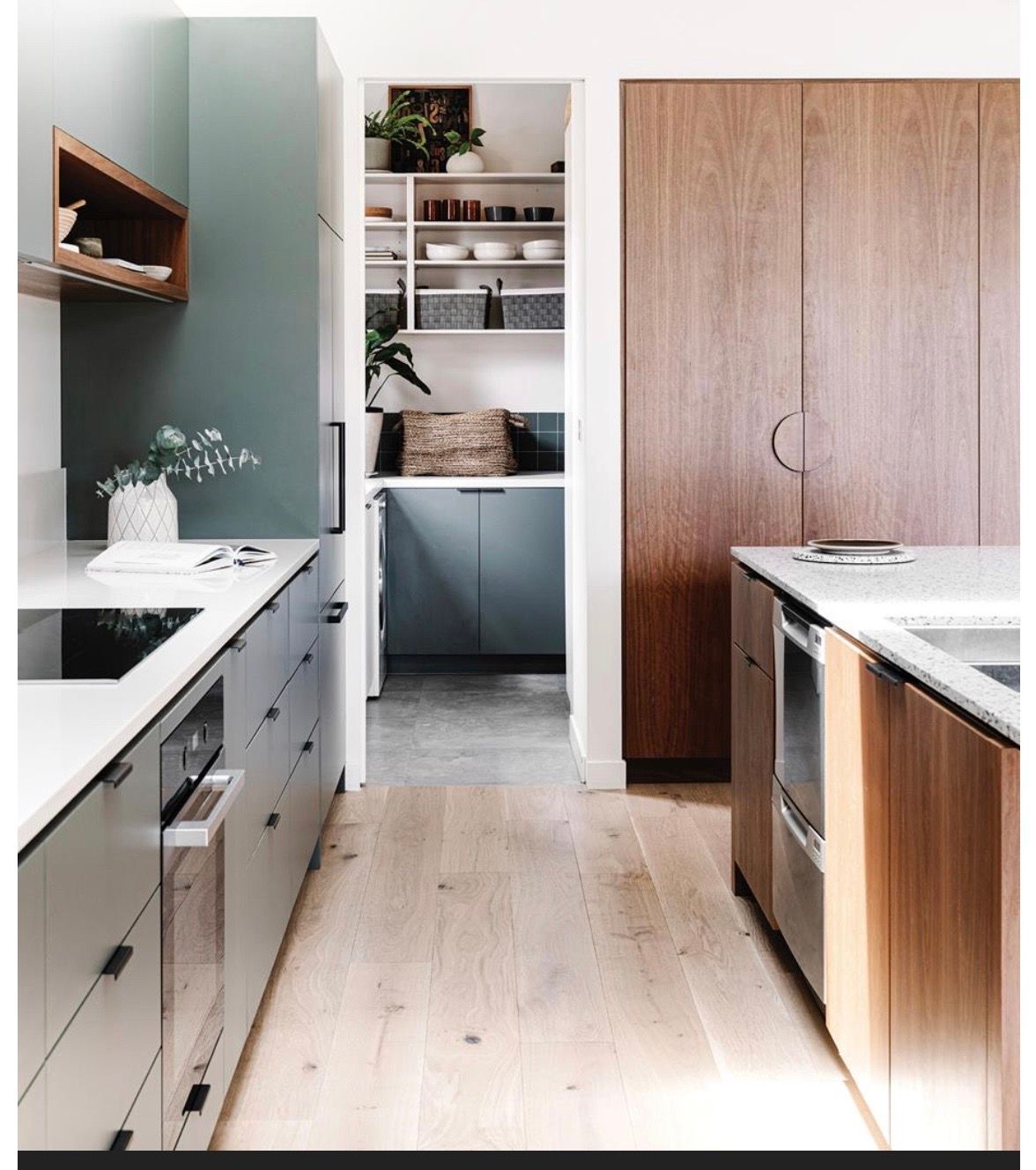 Modern Kitchen with Grey Cabinets  — Lukas Joinery in Belmont, NSW