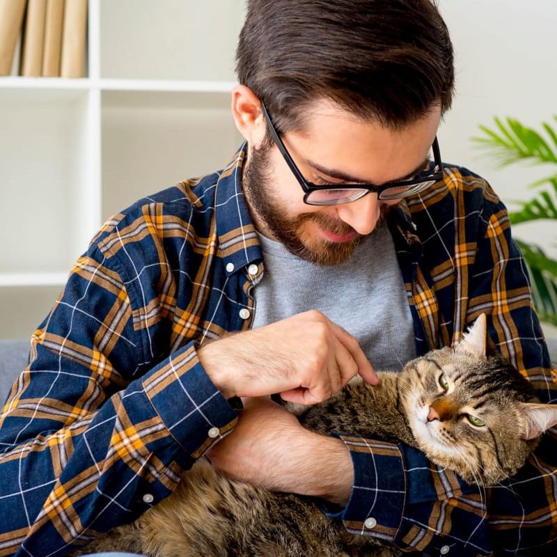 A man in a plaid shirt is holding a cat in his arms.