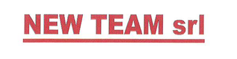 New Team - Logo