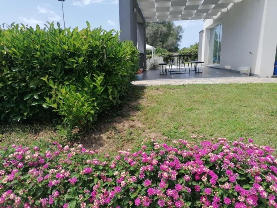 Un giardino con fiori viola davanti a una casa