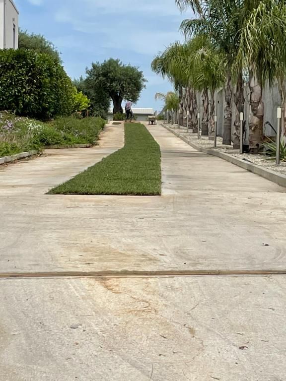 ingresso villa flavia