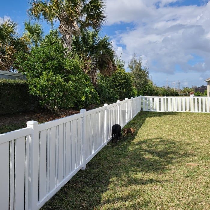 Two dogs playing in a fenced backyard with white fence and green grass.