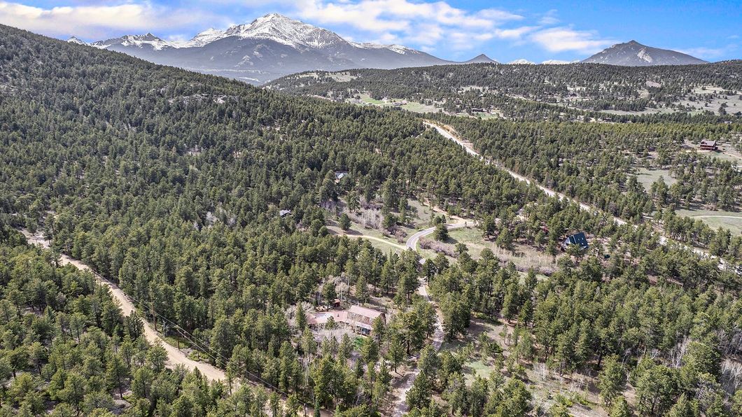 An aerial view of a forest with mountains in the background.