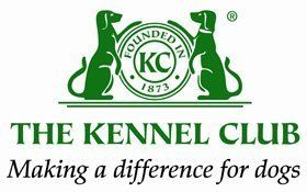 Gun dog sales - Thetford, Norfolk - Buttershall Gun Dogs - Kennel club logo