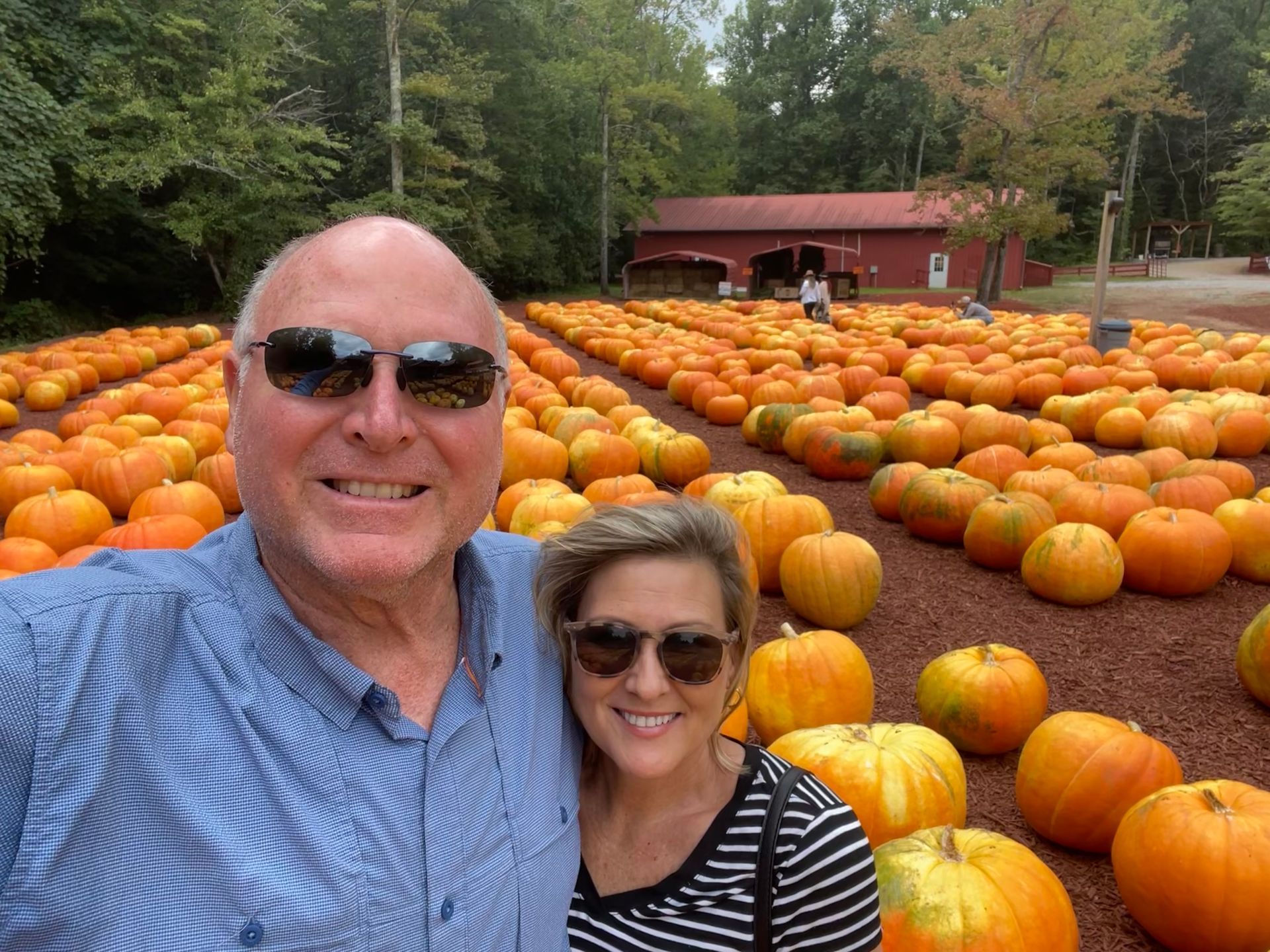 Couple smiling, taking a selfie in a pumpkin patch. They are surrounded by rows of orange pumpkins in a fall setting.