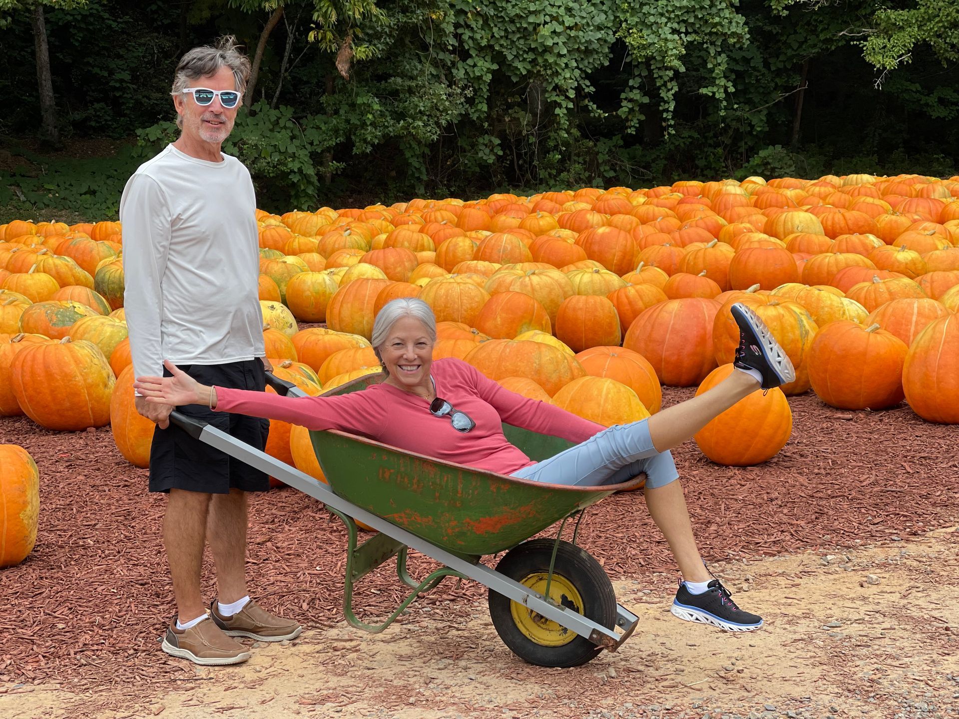 Man pushing a woman in a wheelbarrow through a pumpkin patch. Woman is laughing with her legs raised.