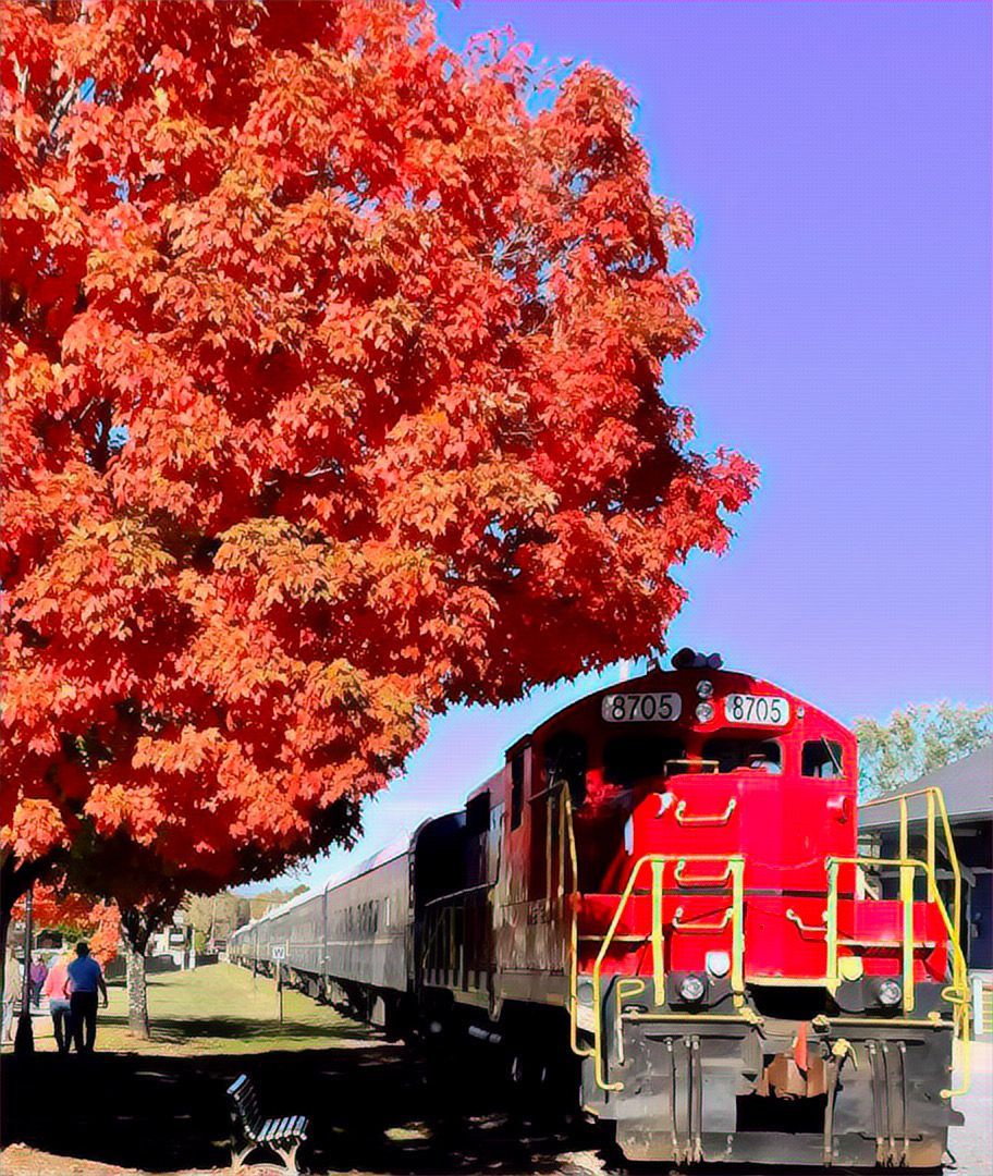 Red train under a tree with fiery orange fall foliage. Two people stand near the train on a sunny day.