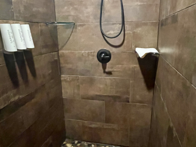 A dark brown tiled shower with a black showerhead and fixtures. There are toiletries mounted on the left wall.