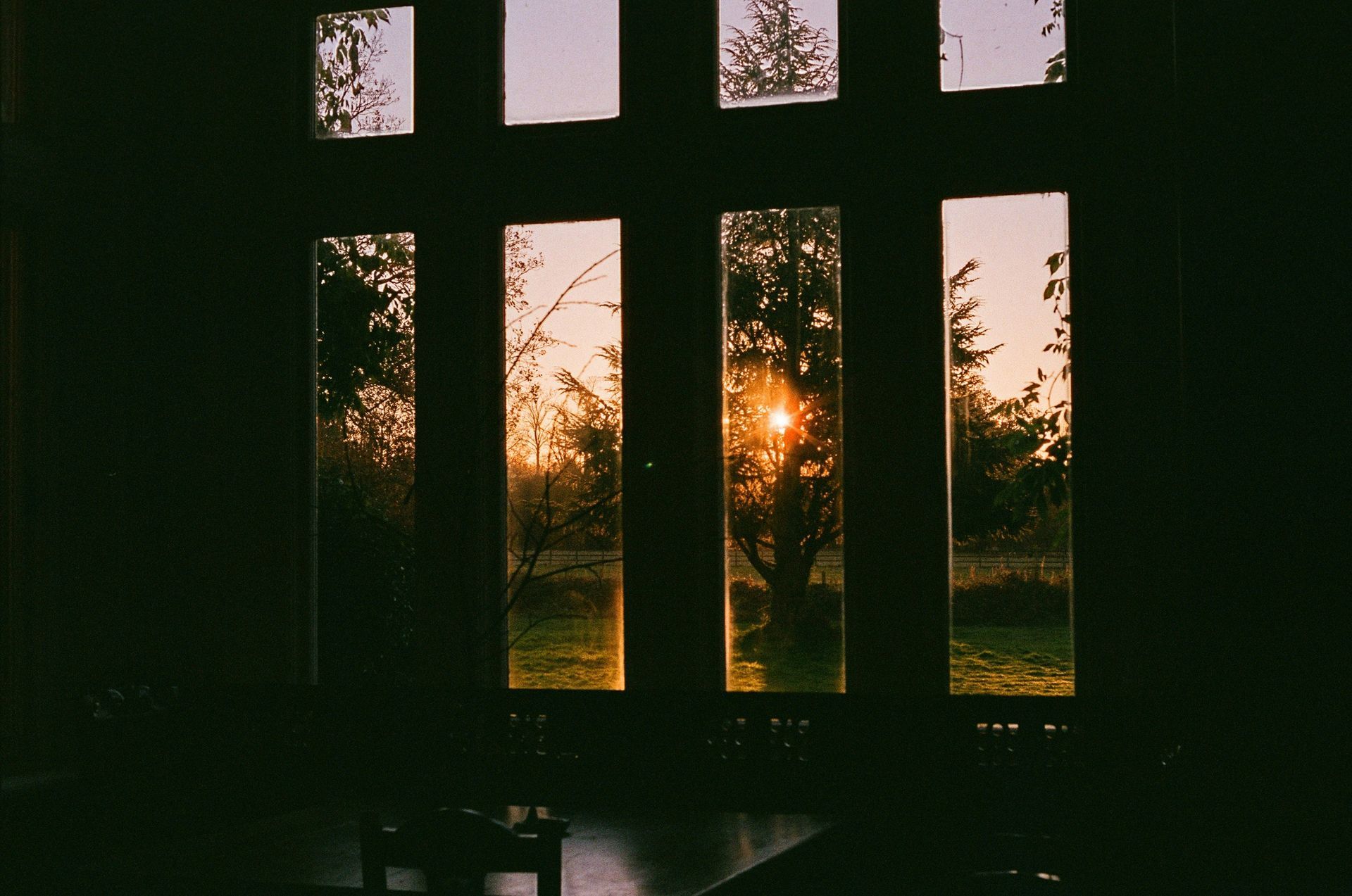 Zonsondergang door een donker raam met meerdere ruiten; bomen en goudkleurig licht zichtbaar.
